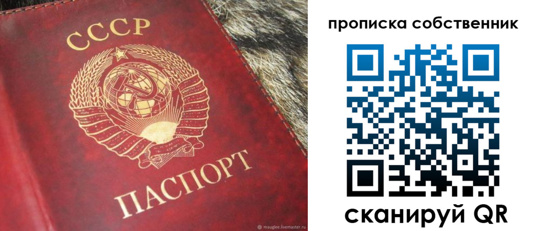 прописка в квартире в Армянске